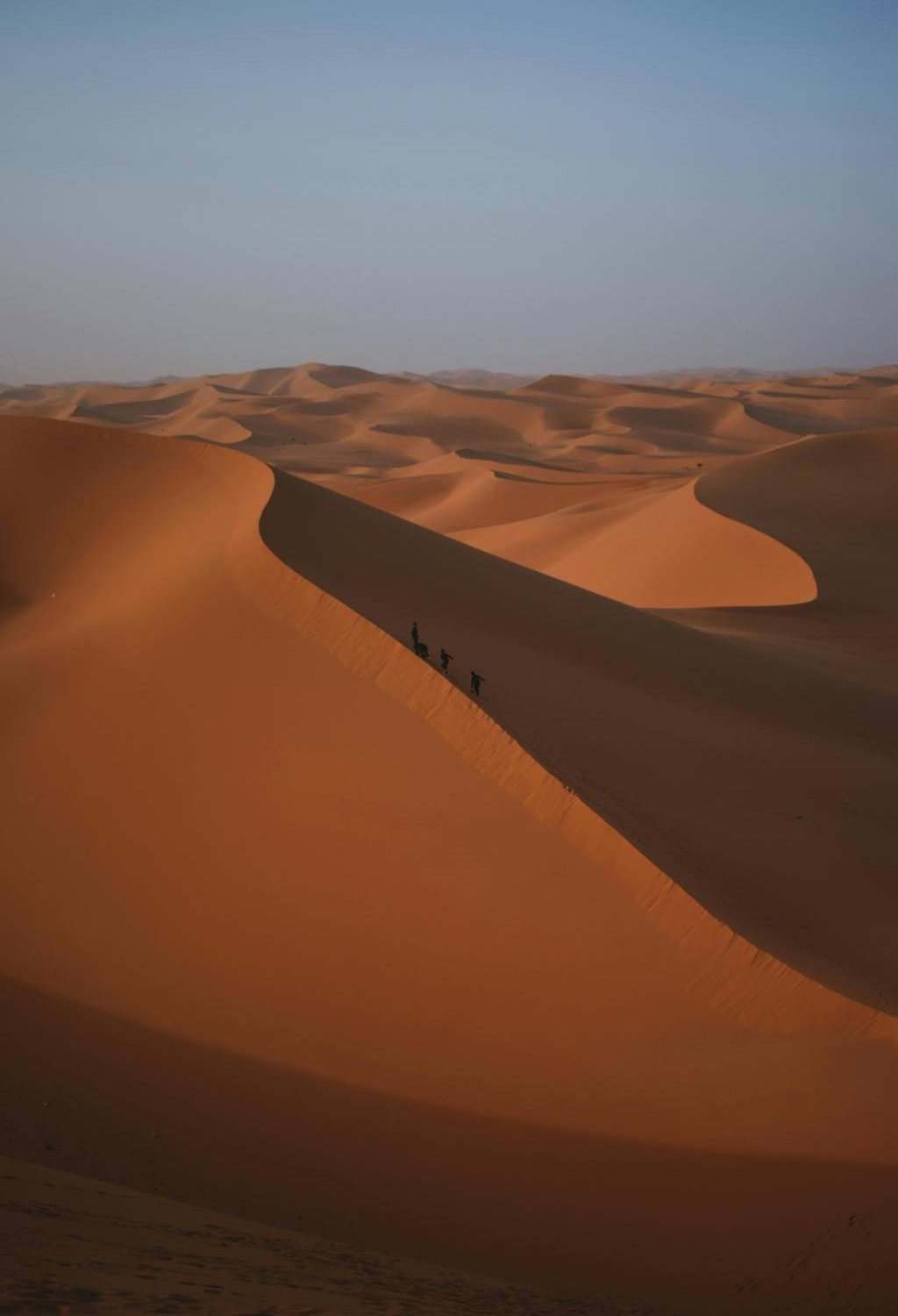 Riwayatravel : votre partenaire idéal pour découvrir les trésors cachés de l’algérie