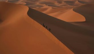 Riwayatravel : votre partenaire idéal pour découvrir les trésors cachés de l’algérie