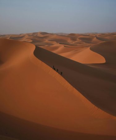 Riwayatravel : votre partenaire idéal pour découvrir les trésors cachés de l’algérie