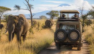Safari sur mesure en Tanzanie : itinéraires pour une aventure unique