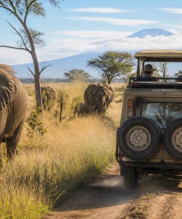Safari sur mesure en Tanzanie : itinéraires pour une aventure unique